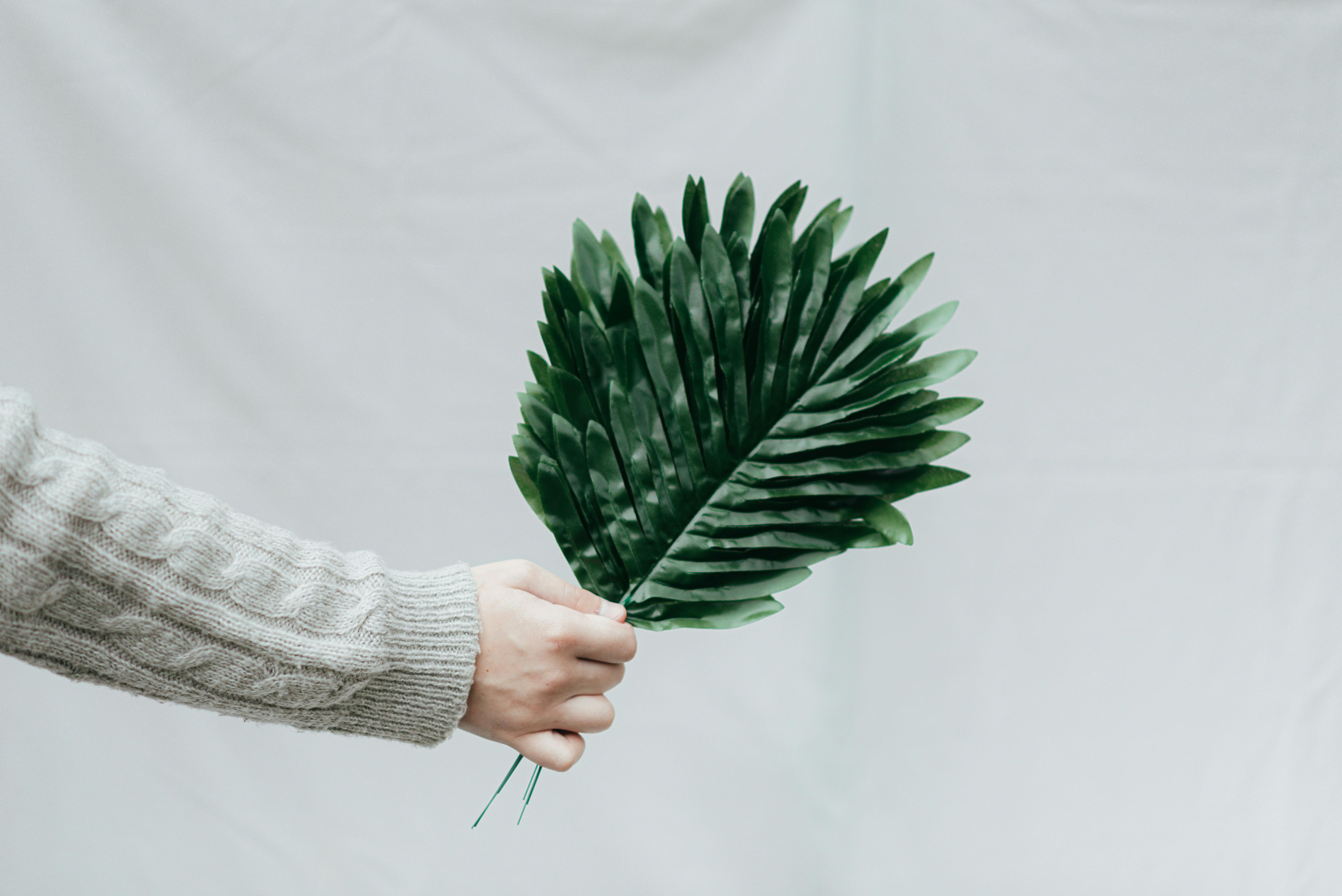 The Verdant Collection