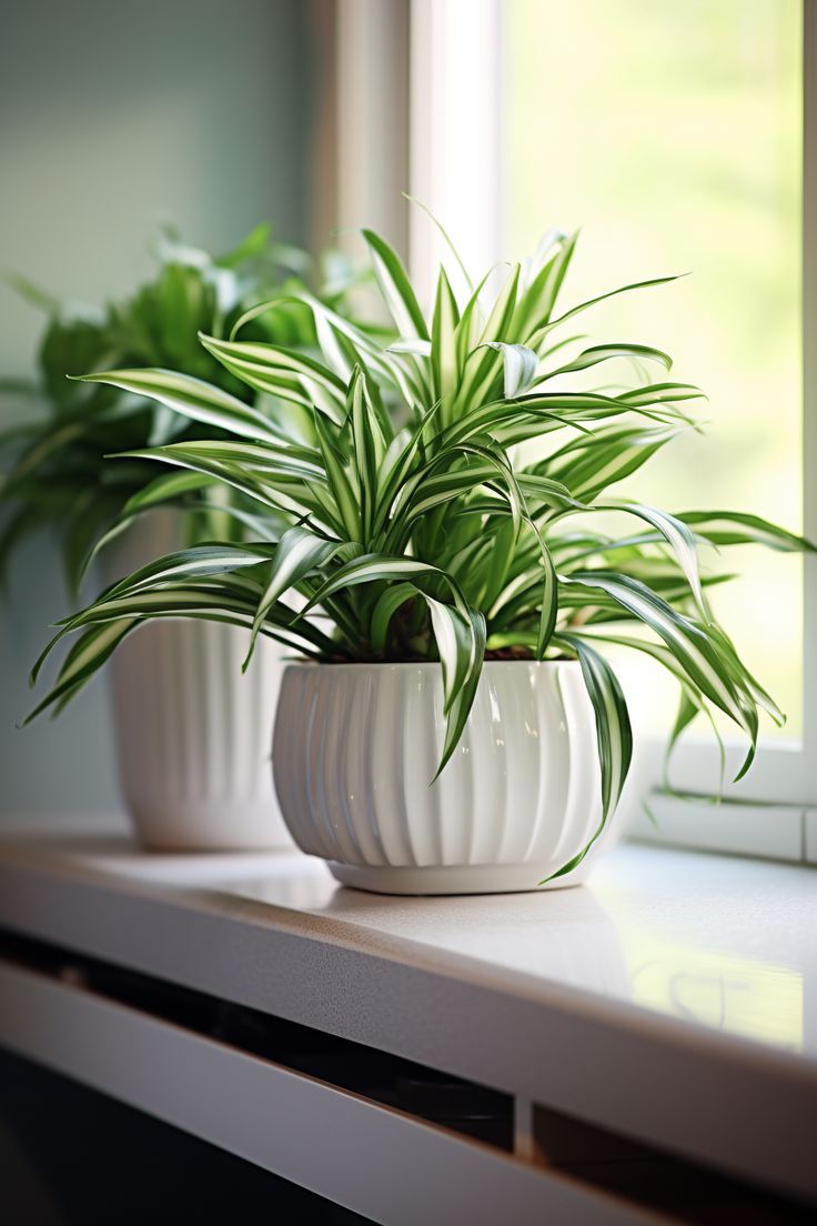 Architectural Foliage