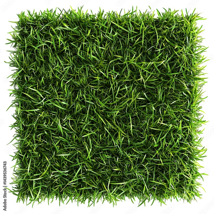 Luxury Turf Terrace